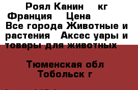  Роял Канин 20 кг Франция! › Цена ­ 3 520 - Все города Животные и растения » Аксесcуары и товары для животных   . Тюменская обл.,Тобольск г.